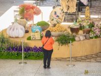 44 Grande Haft Sin 2026 Westfield Century City