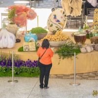 44 Grande Haft Sin 2026 Westfield Century City