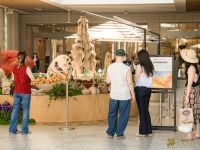 49 Grande Haft Sin 2026 Westfield Century City