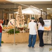 49 Grande Haft Sin 2026 Westfield Century City