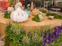 5 Grande Haft Sin 2026 Westfield Century City