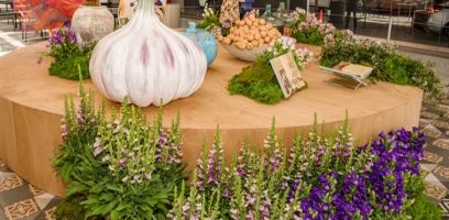 5 Grande Haft Sin 2026 Westfield Century City