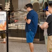 54 Grande Haft Sin 2026 Westfield Century City