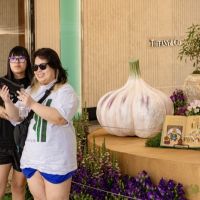 7 Grande Haft Sin 2026 Westfield Century City