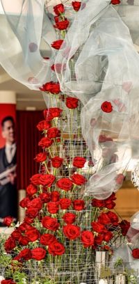 65 Echoes of Freedom