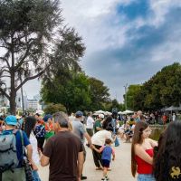 018 Festival Beverly Hills