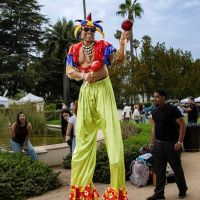 024 Festival Beverly Hills