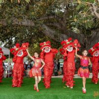 029 Festival Beverly Hills