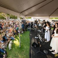 077 Festival Beverly Hills