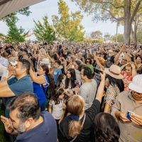 102 Festival Beverly Hills