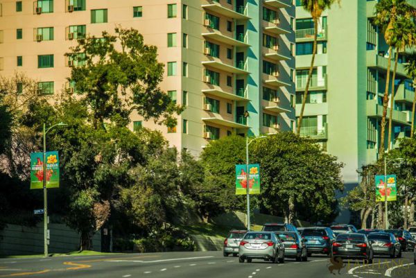 2018 nowruz banners in los angeles 34 20180225 1796092240