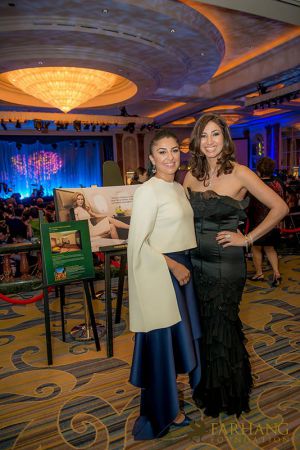 farhangs 6th annual fundraising gala 157