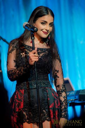 farhangs 6th annual fundraising gala 181