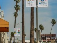 farhangs annual nowruz street banners 2017 004