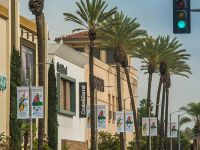 farhangs annual nowruz street banners 2017 008