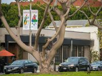 farhangs annual nowruz street banners 2017 015
