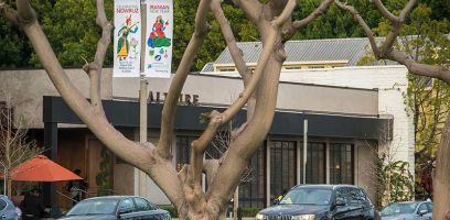 farhangs annual nowruz street banners 2017 015 farhangs annual nowruz street banners 2017 015