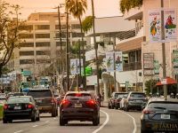 farhangs annual nowruz street banners 2017 018