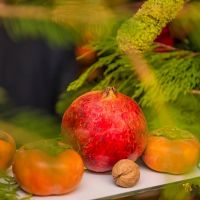 4th annual celebration of shab e yalda 112 4th annual celebration of shab e yalda 112
