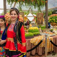 nowruz ucla 2018 033 nowruz ucla 2018 033