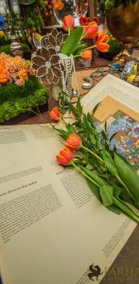 nowruz ucla 2018 054 nowruz ucla 2018 054