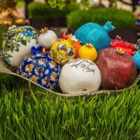 nowruz ucla 2018 055 nowruz ucla 2018 055