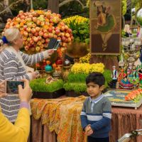 nowruz ucla 2018 065 nowruz ucla 2018 065