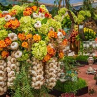 nowruz ucla 2018 078 nowruz ucla 2018 078