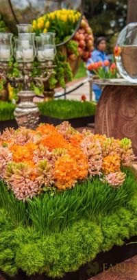 nowruz ucla 2018 080 nowruz ucla 2018 080