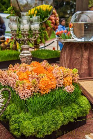 nowruz ucla 2018 080