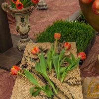 nowruz ucla 2018 083 nowruz ucla 2018 083