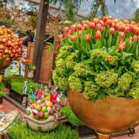 nowruz ucla 2018 089 nowruz ucla 2018 089