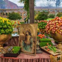 nowruz ucla 2018 096 nowruz ucla 2018 096