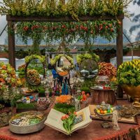 nowruz ucla 2018 116 nowruz ucla 2018 116