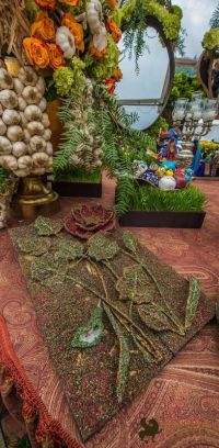 nowruz ucla 2018 117 nowruz ucla 2018 117