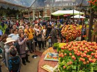 nowruz ucla 2018 236