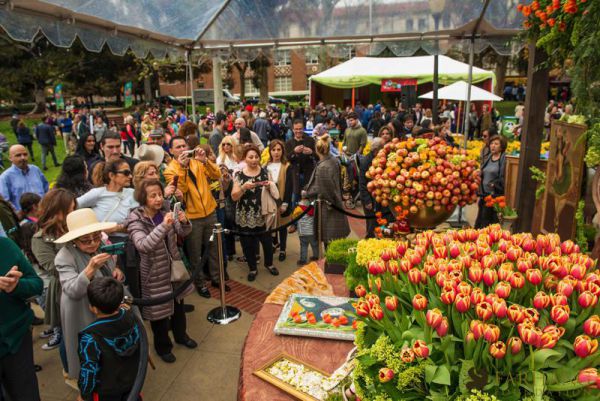 nowruz ucla 2018 236
