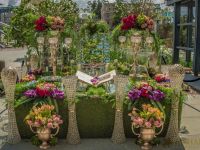 nowruz uci 2018 003