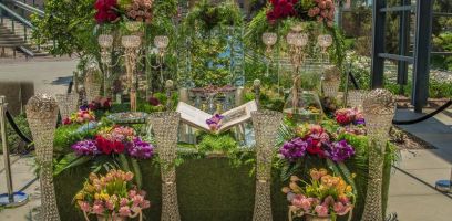 nowruz uci 2018 003 nowruz uci 2018 003