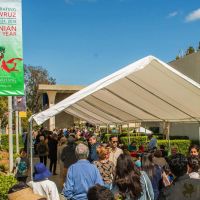 nowruz uci 2018 100 nowruz uci 2018 100