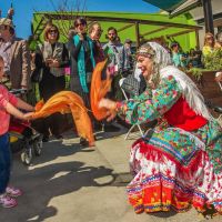 nowruz uci 2018 102 nowruz uci 2018 102
