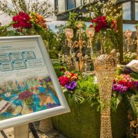 nowruz uci 2018 185 nowruz uci 2018 185