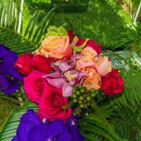nowruz uci 2018 186 nowruz uci 2018 186