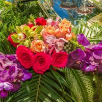 nowruz uci 2018 188 nowruz uci 2018 188