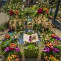 nowruz uci 2018 189 nowruz uci 2018 189