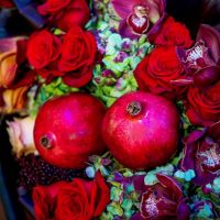 shab e yalda celebrations 2017 079 shab e yalda celebrations 2017 079
