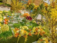 nowruz celebrations orange county 2017 012