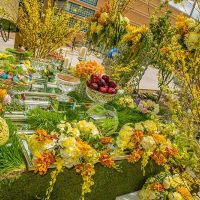 nowruz celebrations orange county 2017 012 nowruz celebrations orange county 2017 012