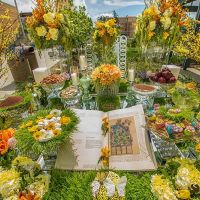 nowruz celebrations orange county 2017 014 nowruz celebrations orange county 2017 014