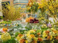 nowruz celebrations orange county 2017 019